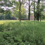 Grundstück